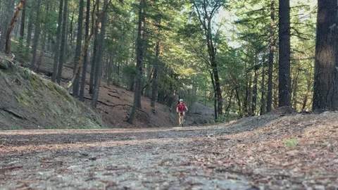 Low angle shot of an mtb mountain biker going through a dirt road Stock Footage 164528527