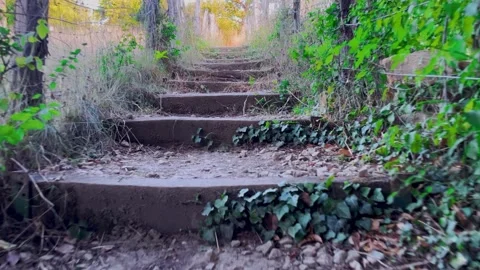 Low angle shot of narrow stairs Stock Footage 245706936