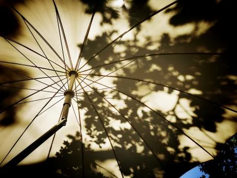 Low angle shot of an opened umbrella with shadows of leaves and branches Stock Photos