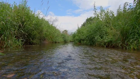 Low angle shot over a small UK river Video stock 112617830
