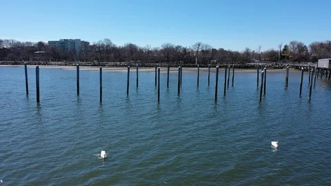 A low angle shot of a pair of white swans in the bay. The camera pans Vídeo Stock 128317179