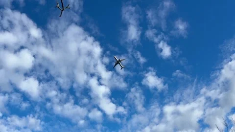 Low angle shot of passenger airplane flying directly overhead in blue sky Vidéo 333705881