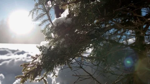 Low angle shot of person walking in high snow on a beautiful snowy day Vídeo Stock 85077529