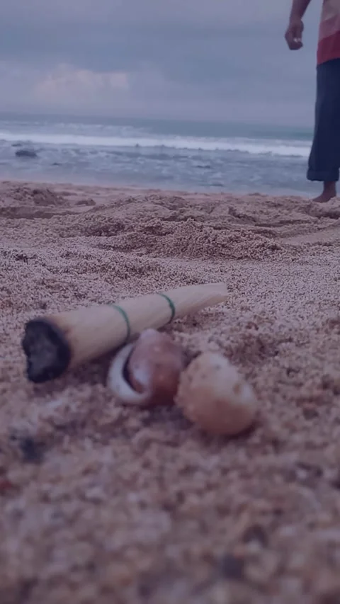Low angle shot of person walking on beach sand with sea shells. Stock Footage 341675632