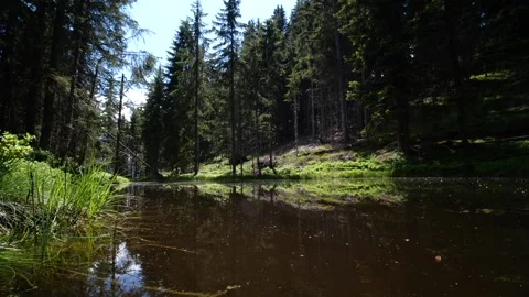Low angle shot of pond in Austrian alps Stock Footage 145806351