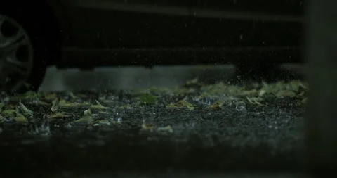 Low angle shot of rain bouncing on wet asphalt as leaves scatter beside par.. Stock-Footage 311374445