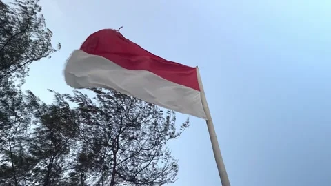 Low angle shot of the red and white Indonesian flag Video stock 345424946