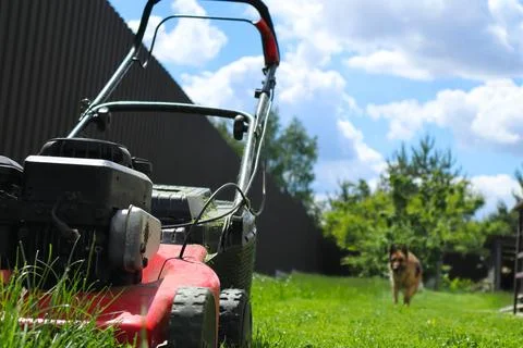 Low angle shot of a red gasoline lawnmower on a backyard lawn. In the blurry  Stock Photos