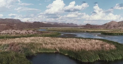 Low angle shot of river with cattails under a bridge with clouds and cars. Stock Footage 84043431