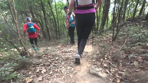 Low angle shot of runners along a forest path Stock Footage 303943479