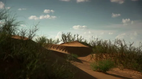 Low angle shot of sand dunes in the desert Видео 48633281