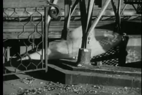 Low angle shot of scarf flying at Fort Point, San Francisco, California Video stock 25195533