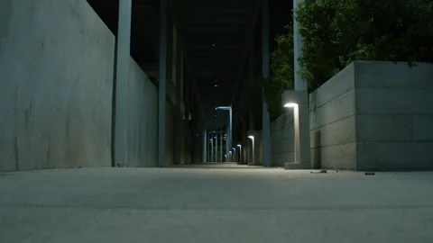 Low angle shot of a small suburban street with solid fence on both sides Video stock 286263112