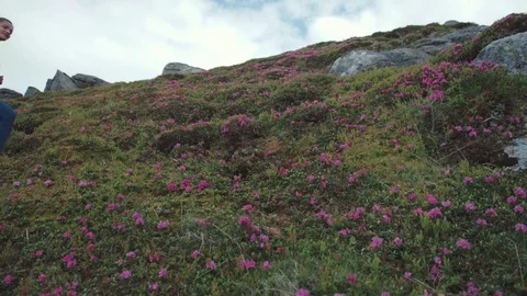 Low angle shot of a smiling young female backpacker in casual wear looking Video stock 77350258