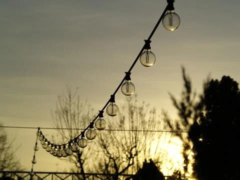 Low angle shot of a string of lights hanging outdoors with silhouette trees agai Stockfoto's