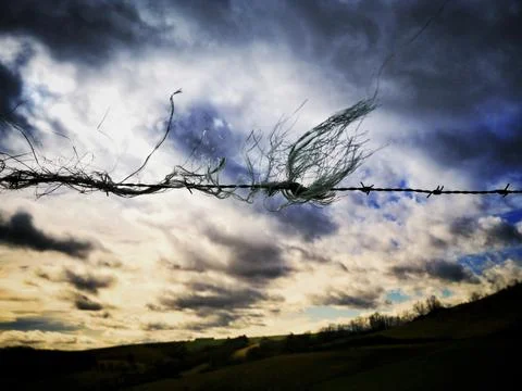Low angle shot of threads caught on barbed wire under storm clouds Foto stock