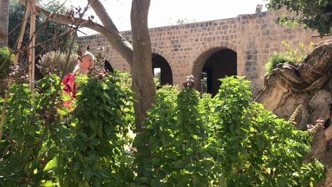 Low Angle Shot of Tourists exploring Ayia Napa Monastery Stock Footage 90831520