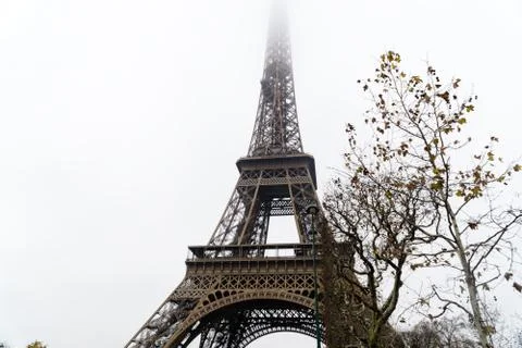A low angle shot of tree branches next to the Eiffel Tower in Paris isolated  写真素材