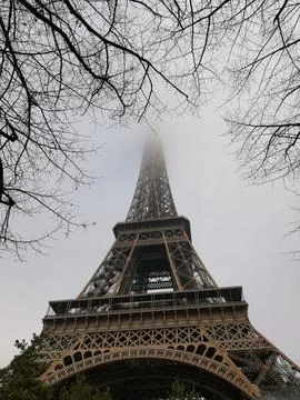 Low angle shot of tree branches next to Eiffel Tower in Paris on foggy day Foto stock