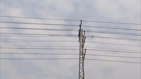 Low Angle Shot of Utility Pole with Power Lines Against Blue Sky Video stock 331765962