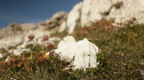 Low angle shot of walking boot in mountains Stock Footage 35254356