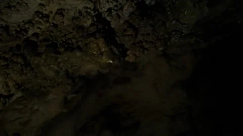 A low-angle shot of water drops on a stalactite on a cave ceiling Stock Footage 134277680
