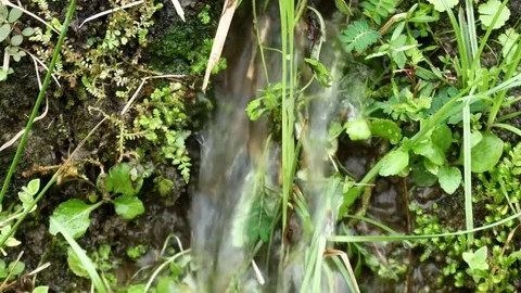 Low angle shot of water stream in spring Stock Footage 73847521