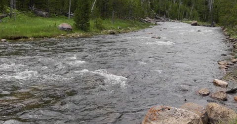 Low angle shot of a wide stream 4k 24fps Stock Footage 79327191