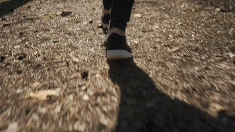Low angle shot with woman's legs walking through the forest Video stock 95272919