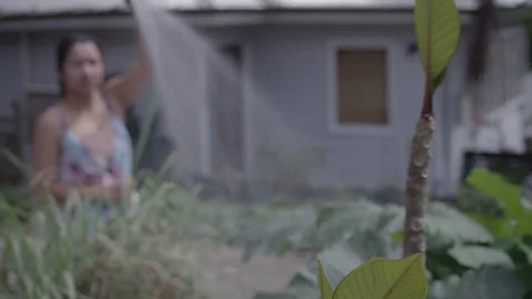 Low angle shot of a young woman watering her vegetable garden Stock Footage