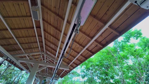 Low Angle Shots of Wooden Canopy Underside Stock Footage 335021148