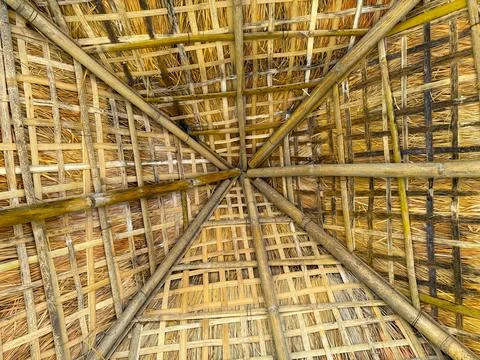 Low angle shows bamboo structure and thatched roof of building construction h Foto stock