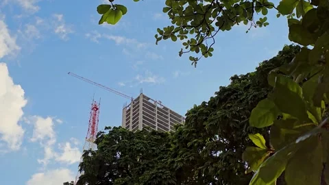 Low angle of skyscraper skeleton under construction surrounded by trees. 4K Stock Footage 339966307