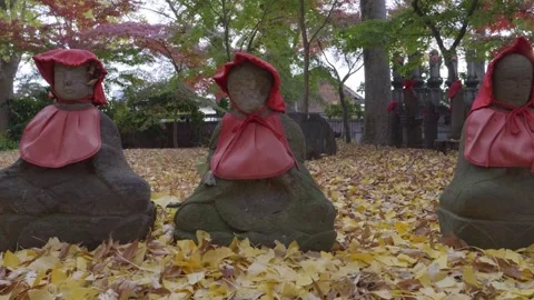 Low angle slider over Jizo Statues on ground with fallen Gingko leafs Stock Footage 322887057