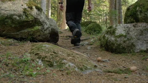 Low Angle Slider Shot of Hiker Walking Into Dense Conifer Forest Stock Footage 345670742