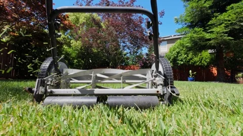 Low Angle Slow Motion Push Reel Mower Cutting Grass in Suburban Yard Stock Footage 320558336