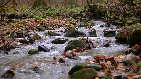 Low angle small Alpine stream flows downstream Stock Footage 143022452