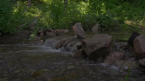 Low angle of a small creek Video stock 246873897