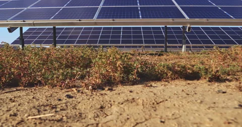 Low angle solar panel array over dry sandy ground Video stock 335292791