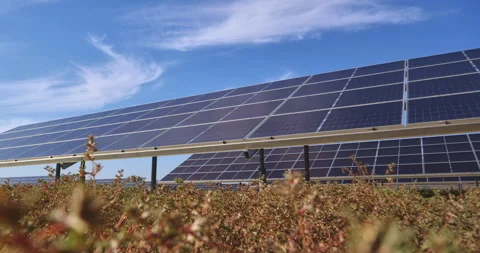 Low angle solar panels capturing sunlight for efficient renewable power now Video stock 302388894