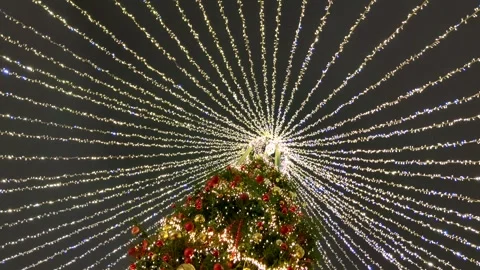 Low angle spinning view of Christmas tree Stock Footage 256674073