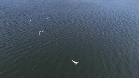 Low-Angle Static Drone View of Lake Stock Footage 314550138