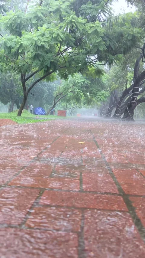 Low angle static shot of heavy monsoon rain splashing on a wet brick path i.. Video stock 336919665