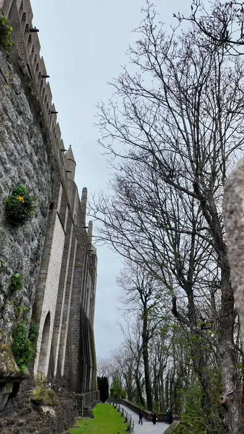 Low angle static shot of the Mont Saint-Michel Abbey towering over traditional s Vídeos de archivo 332723987