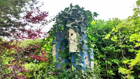 Low angle static shot of a tall, weathered blue wooden birdhouse overgrown with  Vidéo 332803944