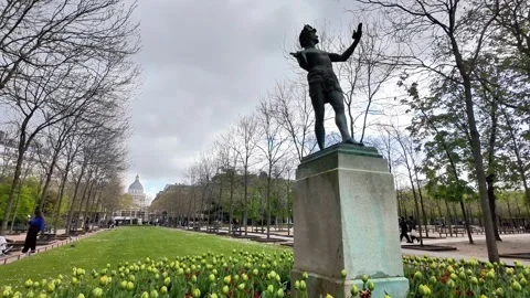 Low angle static shot of yellow tulip buds in a park with the Panthéon Vídeos de archivo 332660191