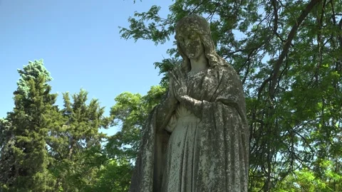 Low Angle of a Statue In Prayer Among Tall Trees Stock Footage 322201776
