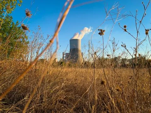 Low angle of steaming cooling tower of thermal power plant Stock Photos