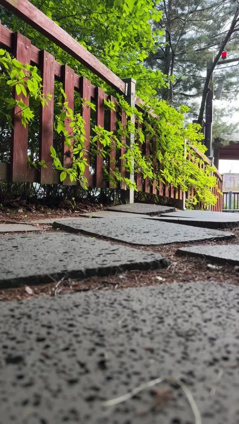Low-Angle Stone Footpath Along a Red Wooden Railing in Summer Stock Footage 340408583