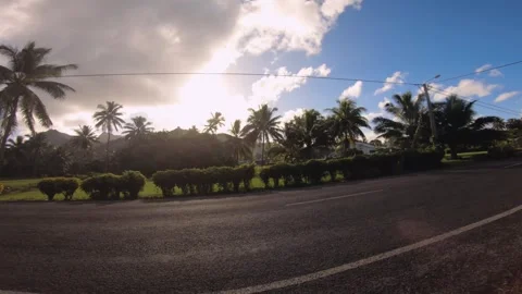 Low angle street walking view on asphalt road look out to grass trim garden and  Stock Footage 253459462